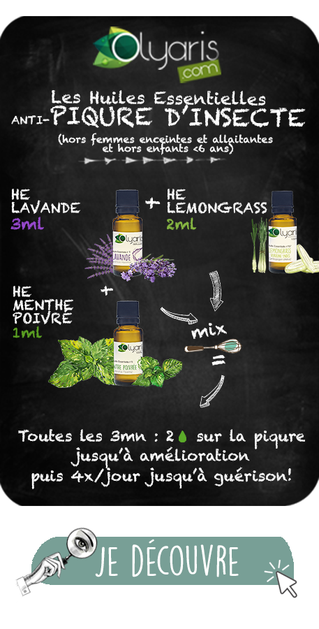Piqure d'Insecte : Pack Insectis+ aux Huiles Essentielles - Olyaris